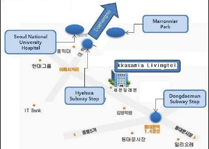 Anamia ソウル特別市